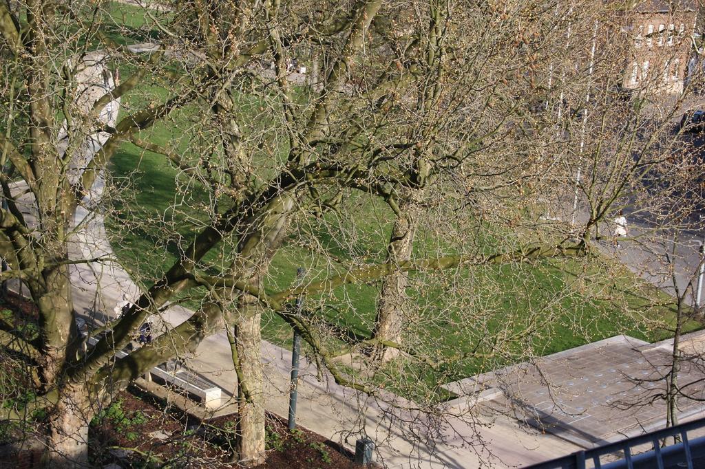 Apartment Wesseling Eksteriør bilde